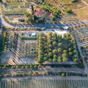 Kemping Agricamping Poggio Ai Pini Wine Camping, Certaldo
